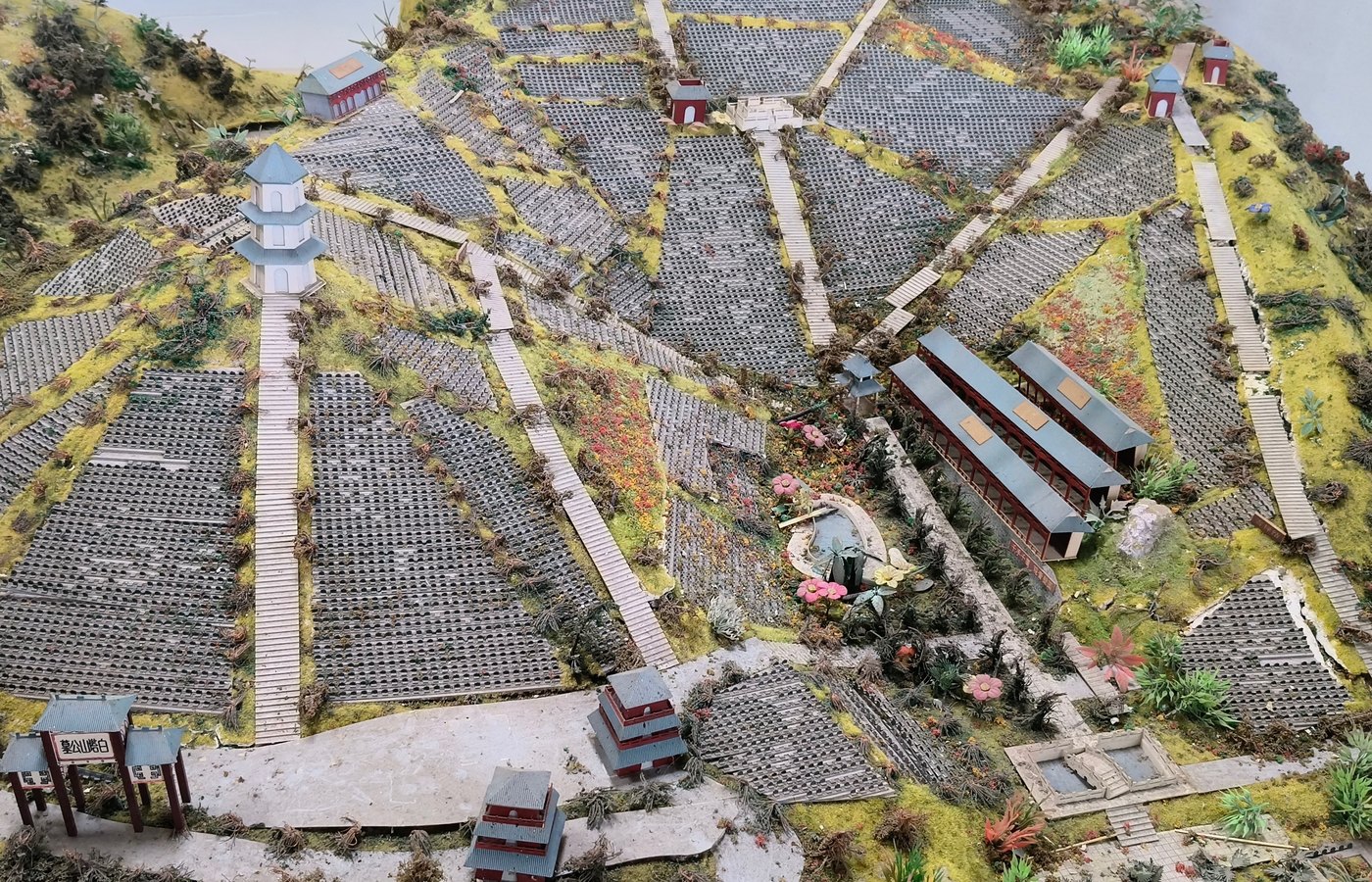 园区俯瞰