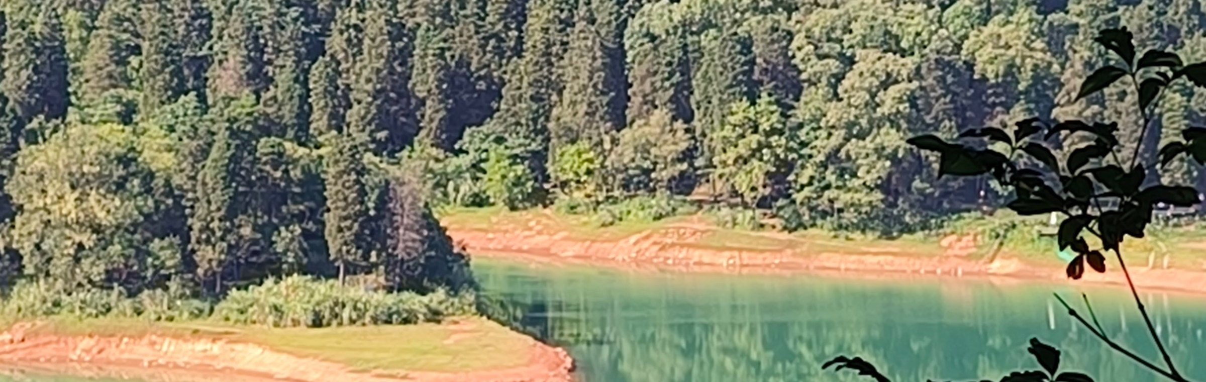 园区实景